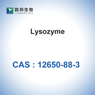 Katalysator-Enzym-Lysozym CASs 12650-88-3 biologisches vom Hühnereiweiß
