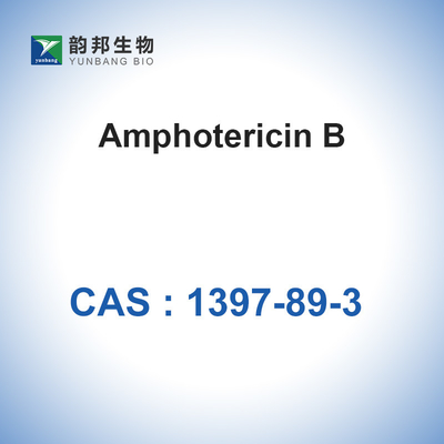 Amphotericin B pulverisieren Antibiotikum Zellkultur CASs 1397-89-3