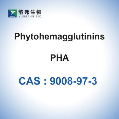 Lyophilisiertes Pulver CASs Phaseolus vulgaris PHA Phytohemagglutinin-M 9008-97-3