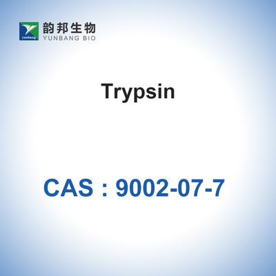 CASs 9002-07-7 biologisches Trypsin der Katalysator-Enzym-7,6 pH vom Schweinepankreas