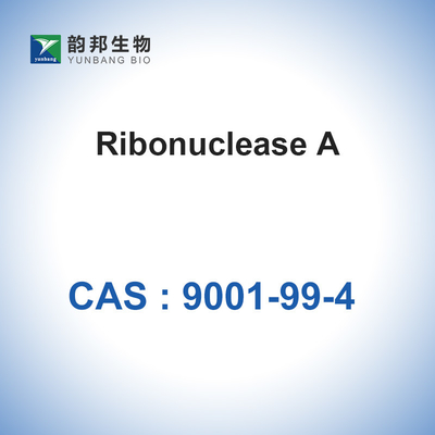 RNase eine Ribonuclease A vom Rinderpankreas biologisches CAS 9001-99-4