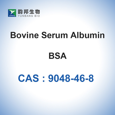 Lyophilisiertes Pulver Rinderserum-Albumin CASs 9048-46-8 BSA Lösung