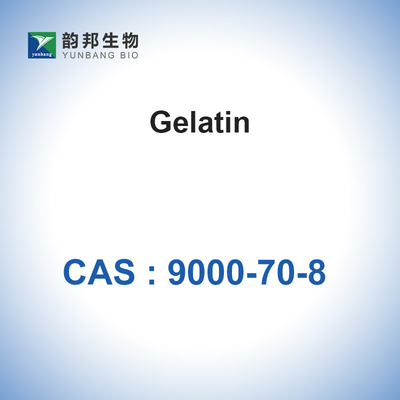 Teleostean-Gelatine-Pulver-absorbierbares Gelatine-Schwamm-Verdickungsmittel CAS 9000-70-8