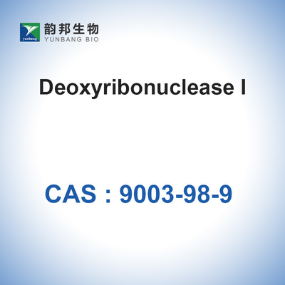 Katalysatoren Enzyme DNase I (＞2000u/Mg) CAS 9003-98-9 Desoxyribonuklease I Biologisch