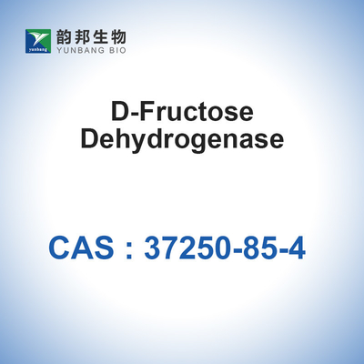 CAS 37250-85-4 D-Fructose Dehydrogenase 20u/mg Biologische Katalysatoren Enzyme