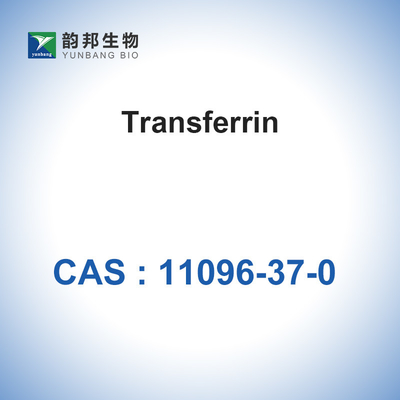 CAS 11096-37-0 biologische Katalysator-Enzyme/menschliches Holo-Transferrin