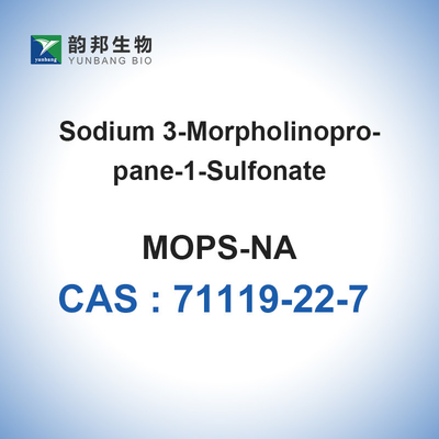 CAS 71119-22-7 MOPS dämpfen saures Natriumsalz Natriumsalz Bioreagent 3 (N-Morpholino) Propanesulfonic ab