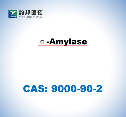 CAS 9000-90-2 α-Amylase aus Bacillus Sp. 4000 u/g