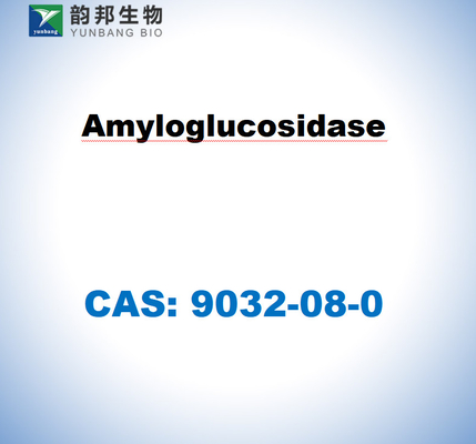 CAS 9032-08-0 Amyloglucosidase aus Aspergillus niger