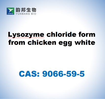CAS 9066-59-5 Lysozymchloridform aus Hühnereiweiß