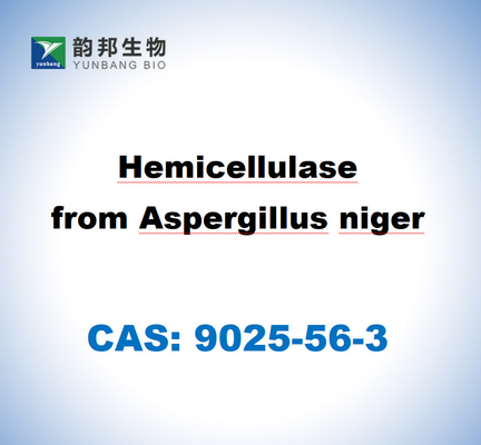 CAS 9025-56-3 Hemicellulose aus Aspergillus Niger