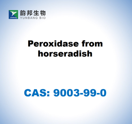 CAS 9003-99-0 Peroxidase aus Meerrettich