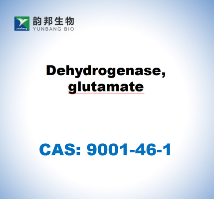 CAS 9001-46-1 Dehydrogenase, Glutamat