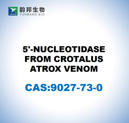 CAS 9027-73-0 5'-Nukleotidase aus Krötel-Atrox-Giften