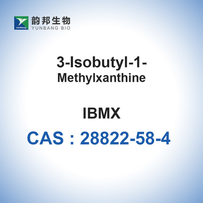 IBMX CAS 28822-58-4 Feinchemikalien 3-Isobutyl-1-Methylxanthine