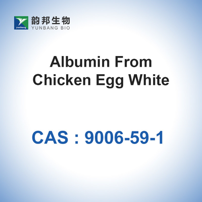 Albumin vom Ei CAS 9006-59-1