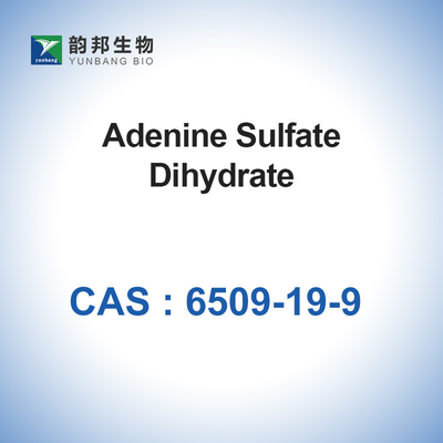 Adeninsulfatdihydrat-Laborreagens CASs 6509-19-9