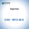 Agarose-biochemisches Glykosid BioReagent CASs 9012-36-6