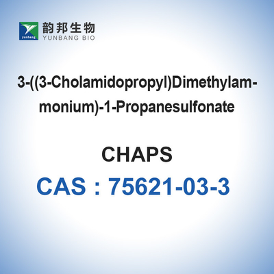 CAS 75621-03-3 SPRINGT biologische Puffer 3 auf [dimethylammonio (3-Cholamidopropyl)] - Hydrat 1-propanesulfonate