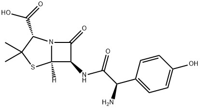 CAS 26787-78-0 Amoxicillin