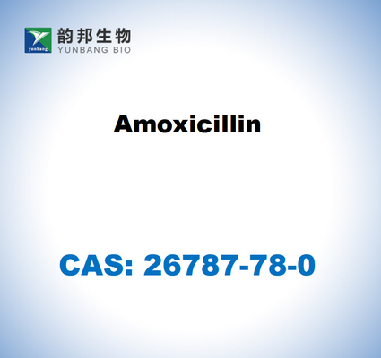 CAS 26787-78-0 Amoxicillin