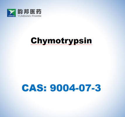 α-Chymotrypsin 9004-07-3 aus Rinderpankreas USP-Klasse ((1500 u/Mg)