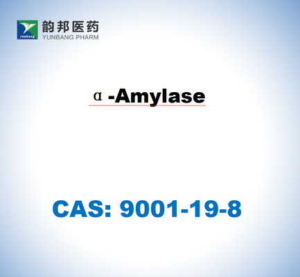 CAS 9001-19-8 α-Amylase aus der Bauchspeicheldrüse von Schweinen