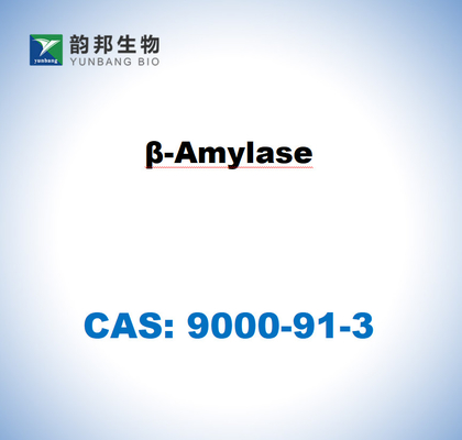 CAS 9000-91-3 Β-Amylase aus Süßkartoffeln