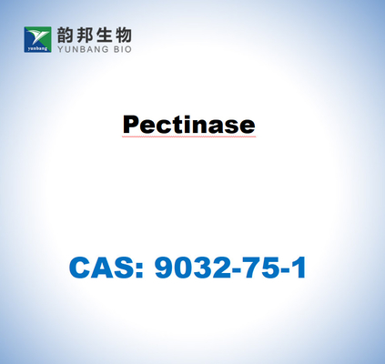 CAS 9032-75-1 Pektinase aus Aspergillus niger