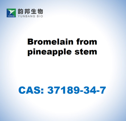 CAS 37189-34-7 Bromelain aus Ananasstamm