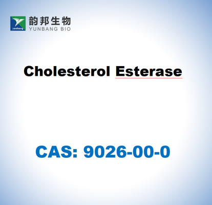 CAS 9026-00-0 Cholesterinesterase von Pseudomonas fluorescens