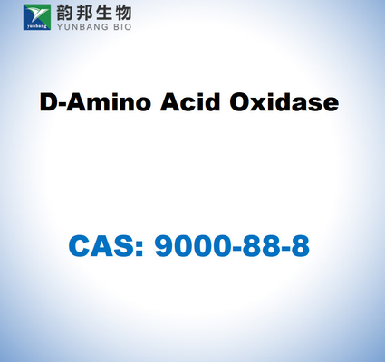 CAS 9000-88-8 D-Aminosäure Oxidase aus Schweinenieren