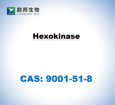 CAS 9001-51-8 Hexokinase aus Saccharomyces cerevisiae