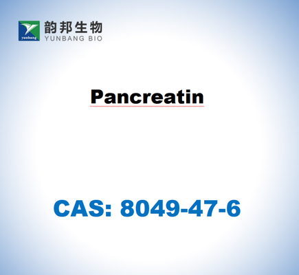 CAS 8049-47-6 Pankreatine aus der Bauchspeicheldrüse von Schweinen