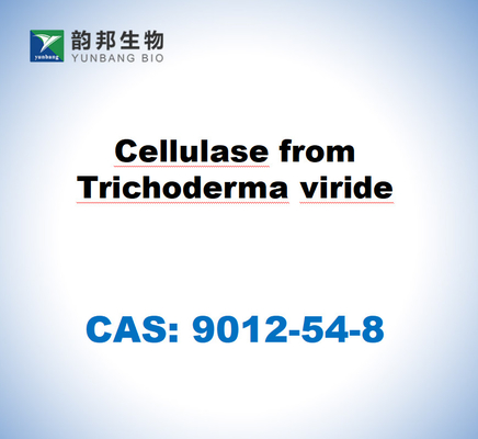 CAS 9012-54-8 Zellulase aus Trichoderma viride
