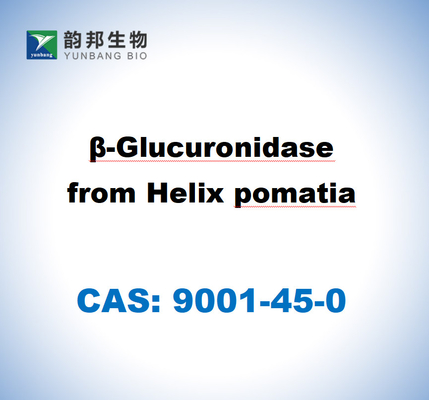 CAS 9001-45-0 Β-Glucuronidase aus Helix Pomatia