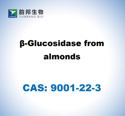 CAS 9001-45-0 Β-Glucosidase aus Mandeln