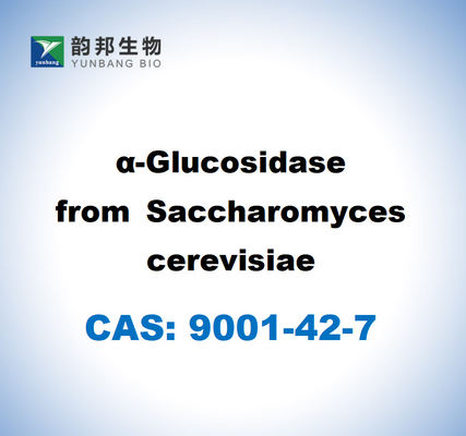 CAS 9001-42-7 A-Glucosidase von Saccharomyces cerevisiae
