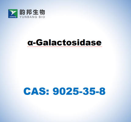 CAS 9025-35-8 A-Galaktosidase aus Aspergillus Niger