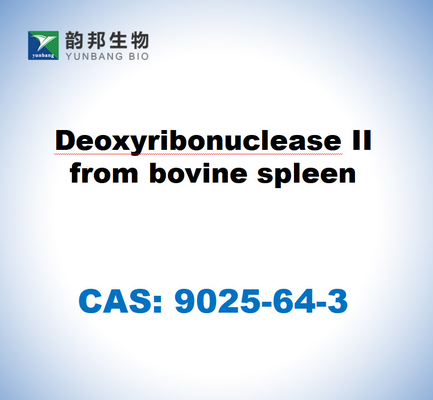 CAS 9025-64-3 Deoxyribonuklease II aus Rindermilz