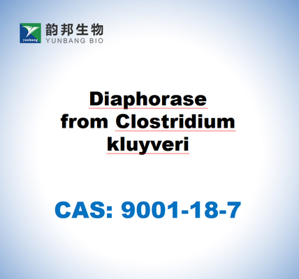 CAS 9001-18-7 Diaphorase aus Clostridium kluyveri