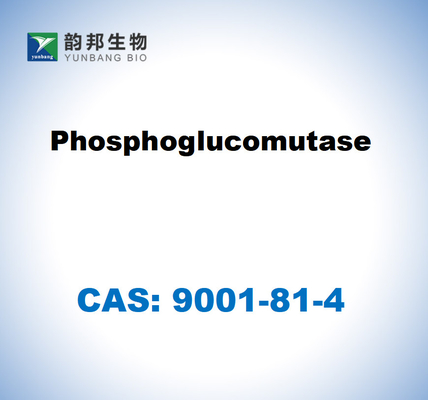 CAS 9001-81-4 Phosphoglucomutase EG 5.4.2.2