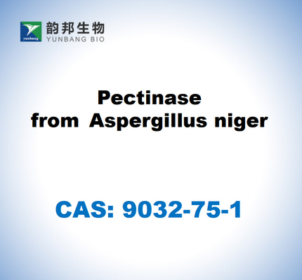 CAS 9032-75-1 Pektinase aus Aspergillus niger