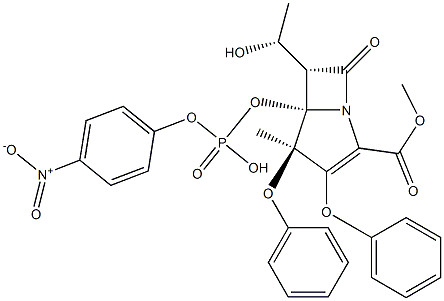 CAS 39450-01-6 Proteinase K aus Tritirachium Album