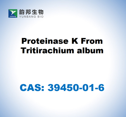 CAS 39450-01-6 Proteinase K aus Tritirachium Album