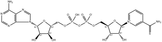CAS 4090-29-3 Thionicotinamid Adenin Dinukleotid