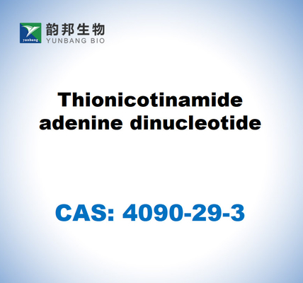 CAS 4090-29-3 Thionicotinamid Adenin Dinukleotid