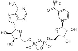 CAS 53-84-9 B-Nikotinamid-Adenin-Dinukleotidhydrat