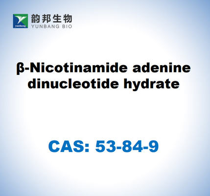 CAS 53-84-9 B-Nikotinamid-Adenin-Dinukleotidhydrat