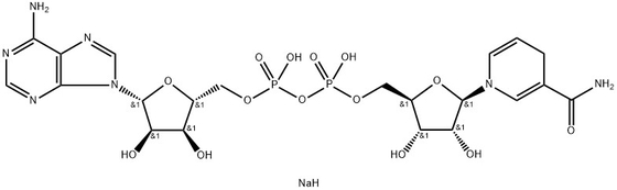 CAS 606-68-8 NADH, Disodium, β-Nikotinamid-Adenindinukleotid, reduziertes Disodiumsalzhydrat